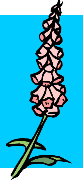The image shows a blue flower with pink petals on its stem against a gray background.