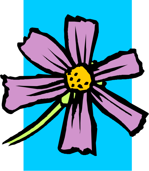 The image shows a purple flower with yellow center on top of blue background.