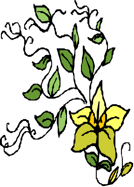 The image shows a black background with white leaves scattered around it on both sides of what appears to be an orange flower at its center.