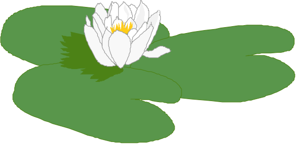 The image shows a water lily with white flowers on top of green leaves floating above what appears to be an underwater plant in black-and-white tones against a gray background.