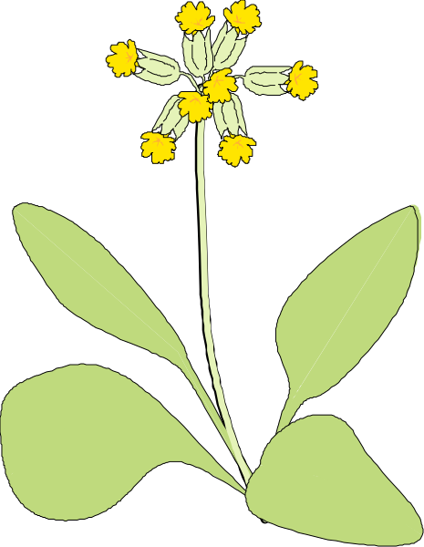 The image shows a single yellow flower with green leaves on top of it against a black background.