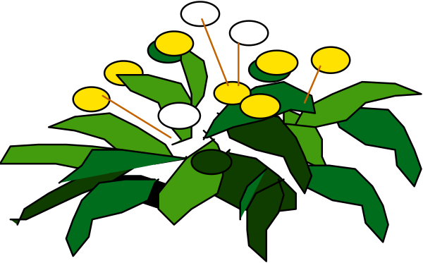 The image shows a bouquet of flowers with green leaves on stems against a black background.