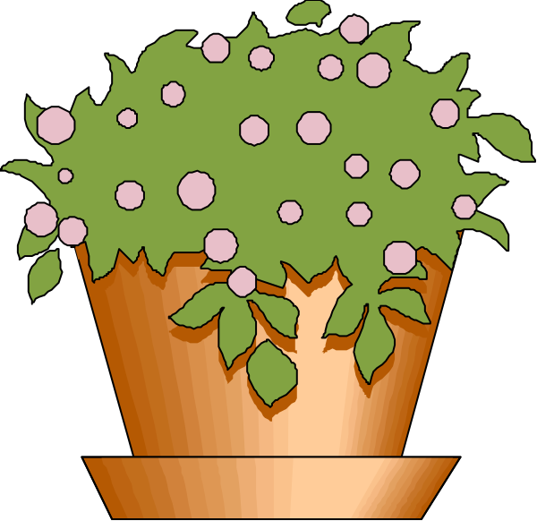 The image shows a potted plant with green leaves and pink flowers on top of it inside an orange pot against a black background.