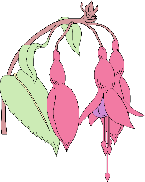 The image shows a pink flower with five petals hanging from an unseen stem against a black background on the left side of the frame; to its right is another similar but smaller red-pink flower also attached by what appears to be stems, and below these flowers hang two green leaves that are connected at their base.