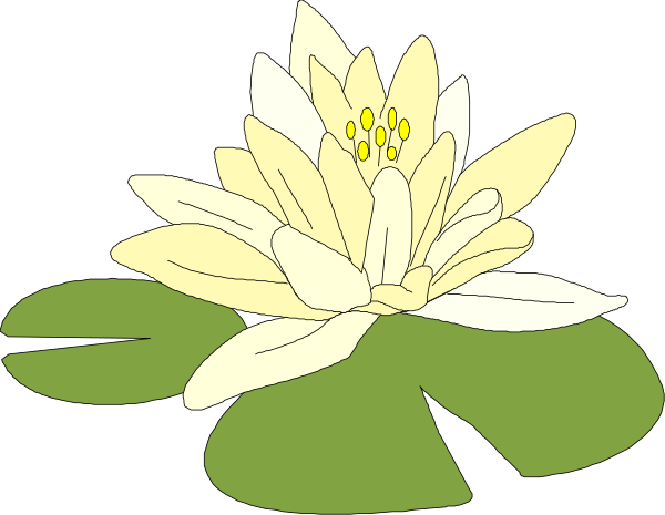 The image shows a yellow water lily with white flowers floating on top of green leaves against a black background.