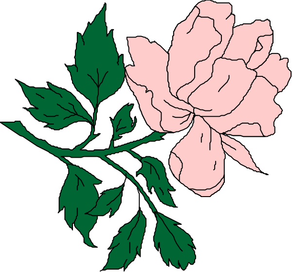 The black and white illustration features a single pink flower with green leaves on its stem atop some small plants that have tiny red flowers in them.