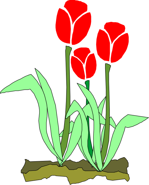 The image shows a digital illustration of three red tulips with green stems growing from soil against a black background.