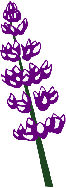 The image shows a purple flower with multiple petals on its right side against a gray background that has black stripes running horizontally across it from left to right.