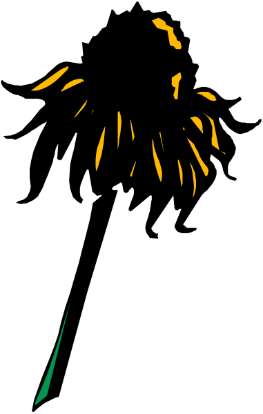 The image shows a black silhouette of fireworks against a dark background with yellow sparks visible at top right corner.