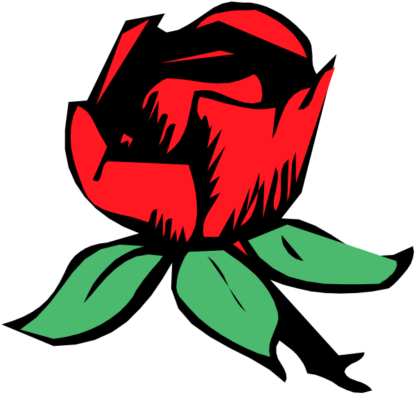 The image shows a red rose with green leaves against a black background.