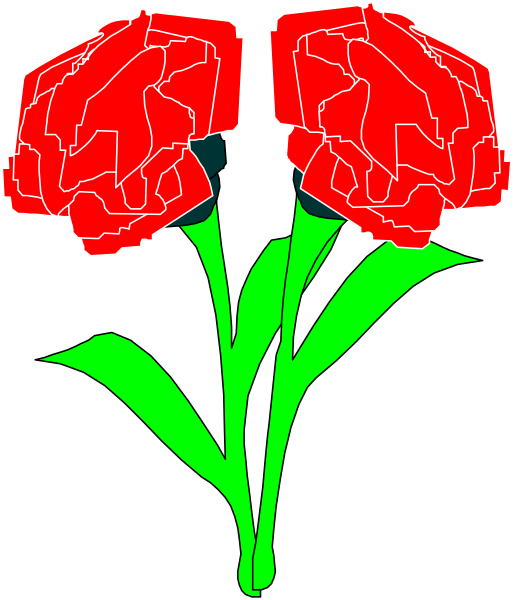 The image shows two red flowers with green stems against a black background.