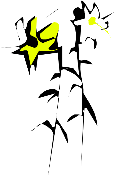 The image shows a black and white photo of an insect with yellow markings on its body inside what appears to be a glass container.