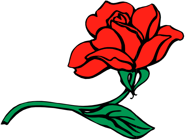 The image shows a red rose with green leaves against a black background.