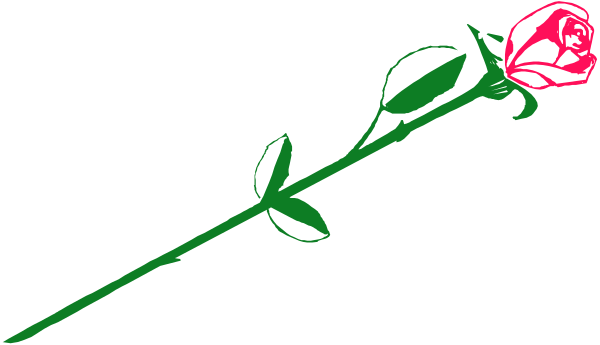 The image shows a single red rose with green leaves attached to it on what appears to be a stem against a dark background.