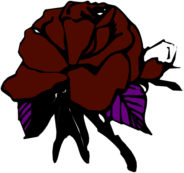 The image shows a black rose with purple leaves against a dark background on top of two smaller roses that appear to be in full bloom at nighttime.