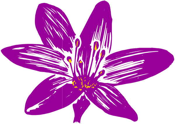 The purple flower has six petals with yellow centers on a gray background.