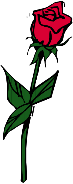 The image shows a single red rose with green leaves on it against a black background.
