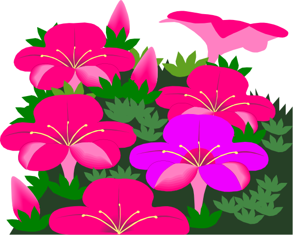 The image shows a bouquet of pink flowers with green leaves against a black background.