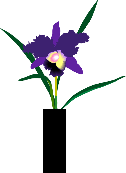 The image shows a purple iris flower with yellow center surrounded by green leaves against a black background.