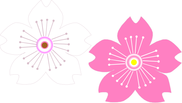The image shows three stylized flower designs with a simple background; two of them have pink petals while the third has white ones.