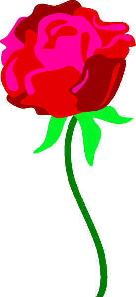 The image shows a single red rose with green stem against a gray background.