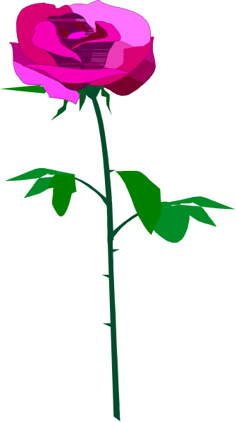 The image shows a single pink rose with green leaves on it against a black background.