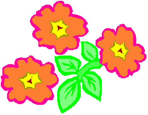 The image shows a bouquet of colorful flowers with green leaves against a black background.