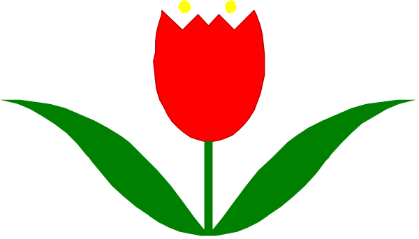 The image shows a red tulip with green leaves against a white background.