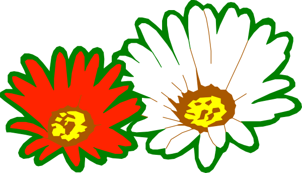 The image shows three flowers with different petals: a red flower on top left corner of an envelope, a white daisy in center right, and another colorful flower at bottom right.