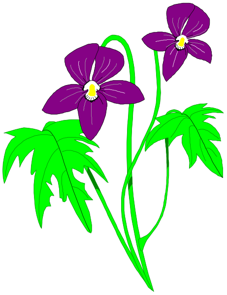 The image shows a purple flower with green leaves against a black background.