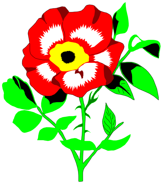 The image shows a red flower with white stamens on green stems against a black background.