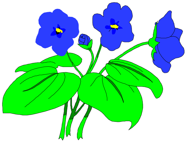 The picture shows a bouquet of blue flowers with green leaves against a black background.