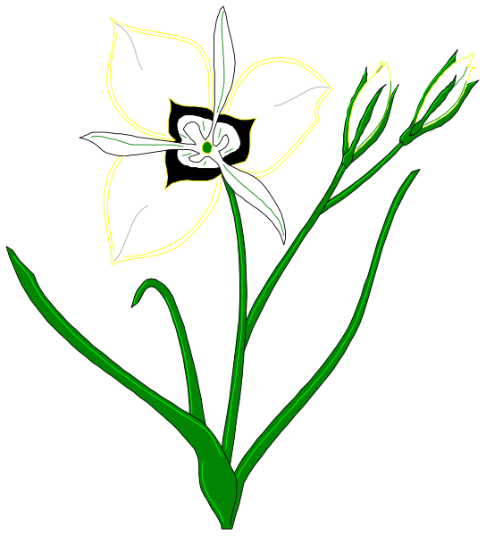 The image shows a stylized illustration of three white flowers with green leaves against a black background.