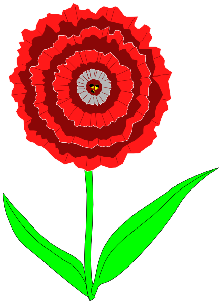 The image shows a red flower with many layers of petals against a black background on top left corner.