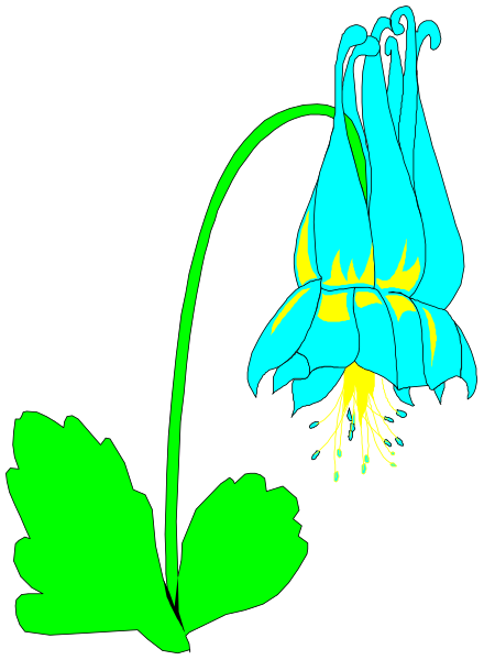 The image shows a blue flower with yellow stamens against a black background.