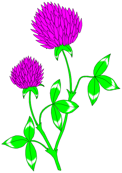 The image shows a purple flower with green leaves against a black background.