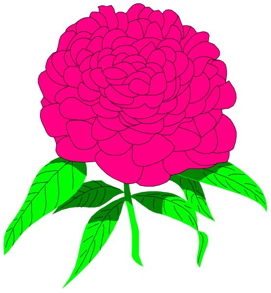 The image shows a pink flower with green leaves against a black background on the left side of an illustration that appears to be part of a larger graphic design featuring textures in shades of brown and gray.