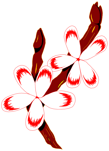 The image shows a graphic of red flowers with white centers on green stems against a black background.