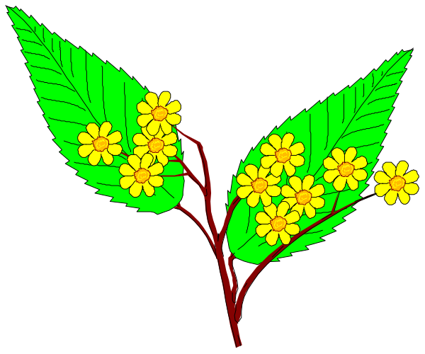 The image shows a stylized illustration of three yellow flowers with green leaves on what appears to be a stem against a black background.
