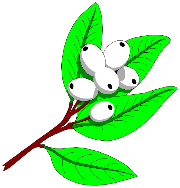 The image shows a single leaf with three white spots on it against a black background to its left side; there is no other object in this clip-art illustration.