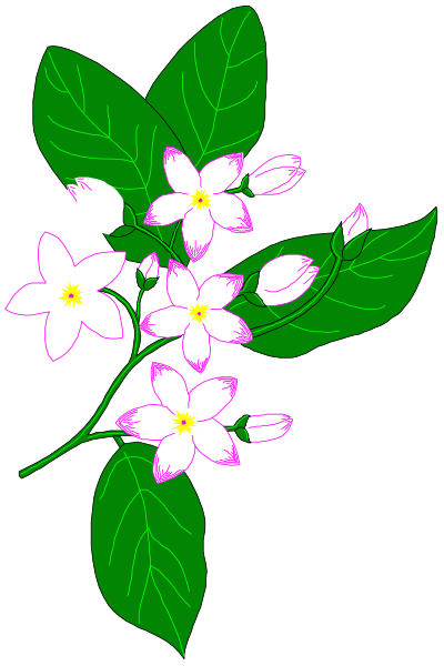 The image shows a stylized illustration of flowers with green leaves on them against a black background.
