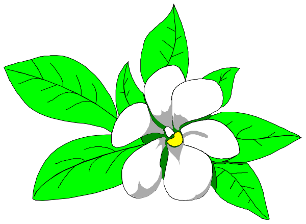 The image shows a stylized illustration of an apple blossom with green leaves on it against a black background.