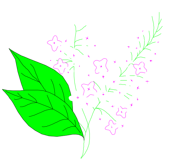 The image shows a bouquet of purple flowers with green leaves on top right corner against black background.