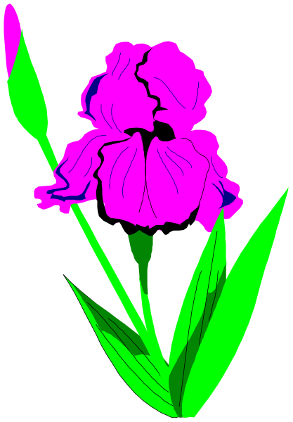 The image shows a purple flower with green leaves against a black background.