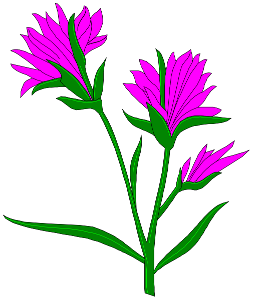 The image shows a purple flower with green leaves against a black background.