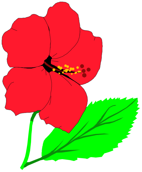 The image shows a red flower with green leaves next to it on its right side.