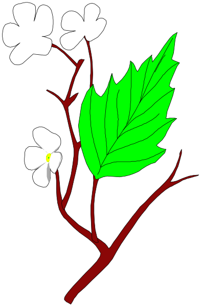 The image shows a stylized illustration of two leaves on branches with red outlines against a black background; there is no text present in this clip-art piece.