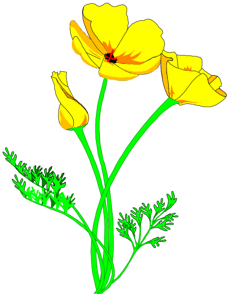 The image shows a bouquet of yellow flowers with green stems against a black background.