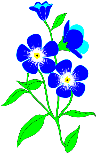 The image shows a bouquet of blue flowers with yellow centers on green stems against a black background.