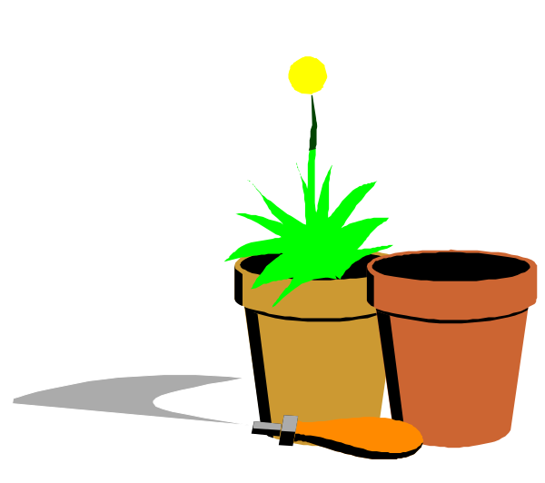 The image shows a collection of potted plants with flowers on top: there is an orange pot containing what appears to be marigolds; next to it sits another plant in a brown pot that looks like grass, and beside them both stands a white daisy flower.